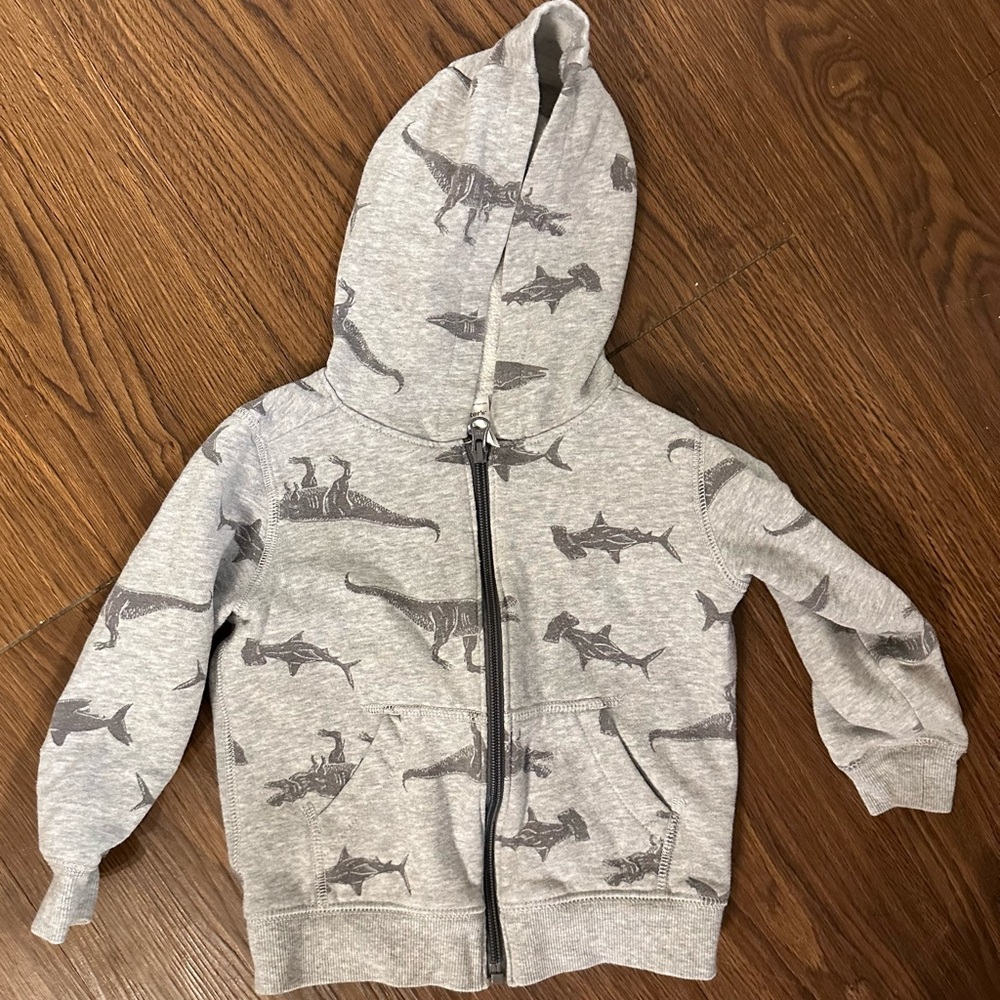 SOLD! Carter's Gray Dino Adventure Hoodie